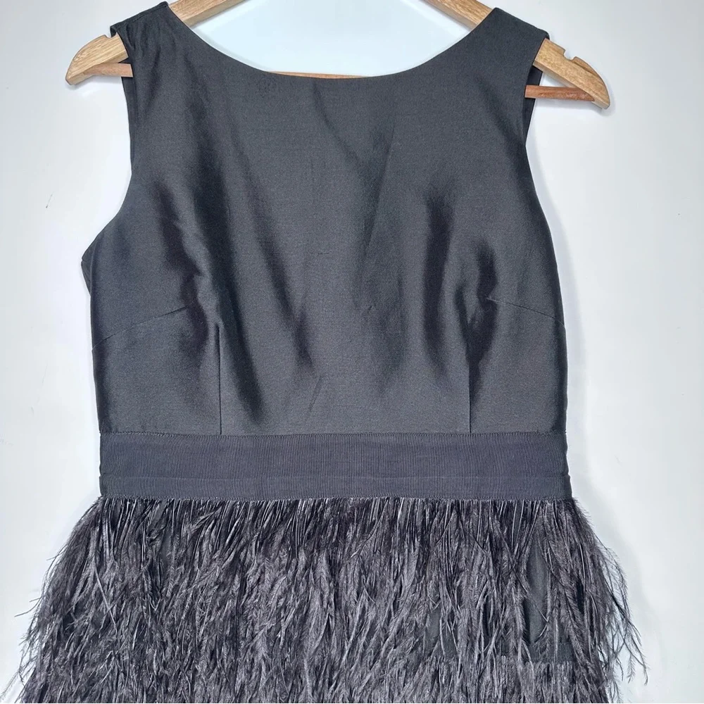 Sail to Sable Black Feathered Dress - Picture 4 of 12